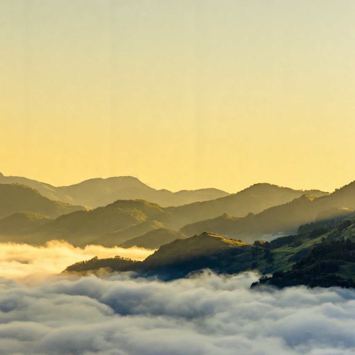云海 — 住在云上，推门见山